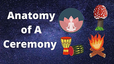 Anatomy of An Amanita Ceremony